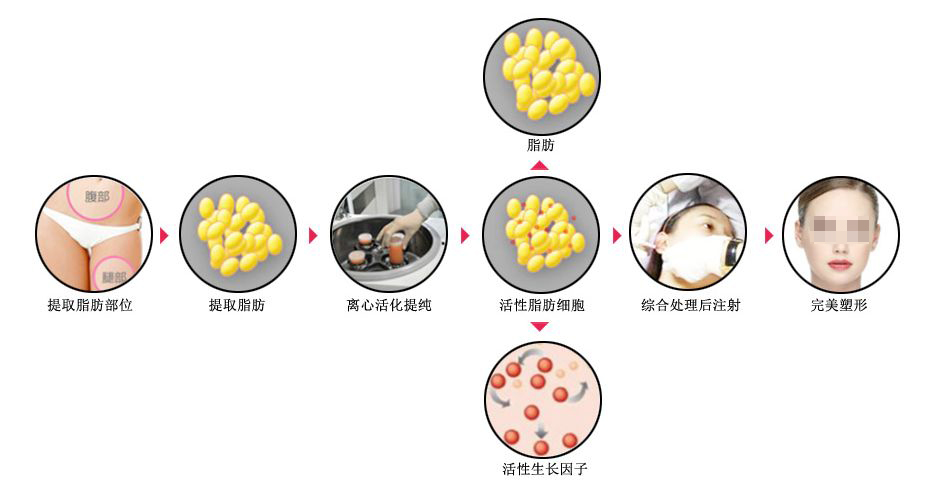 丰面颊